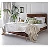 Rich Chocolate Brown Velvet Upholstered Bed