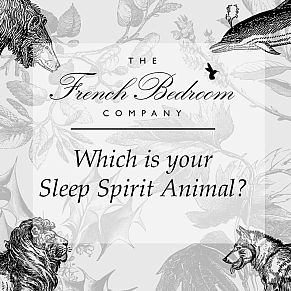 What is Your Spirit Sleep Animal?