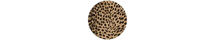 Leopard Print Home