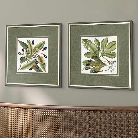 Botanical Square Framed Wall Art Botanical Square Framed Wall Art