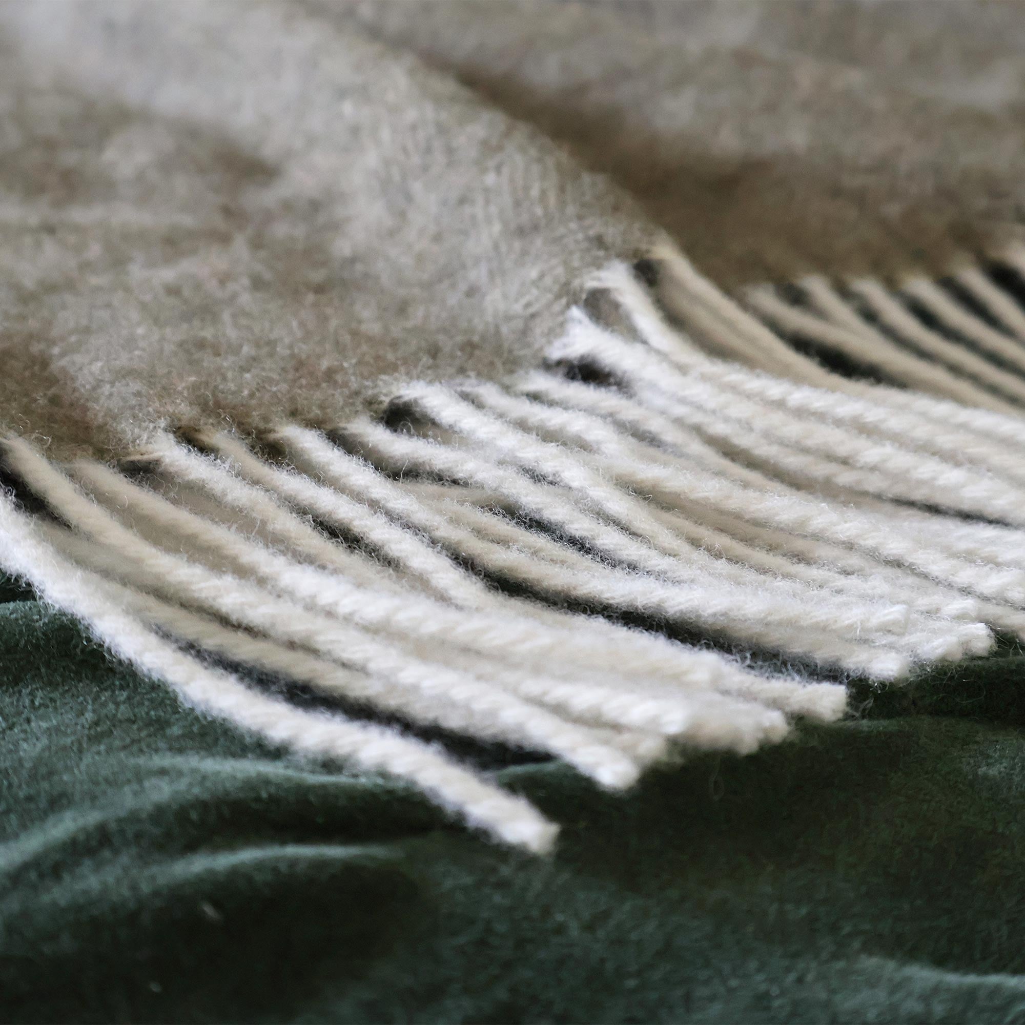 Cashmere Throw in Sage Green