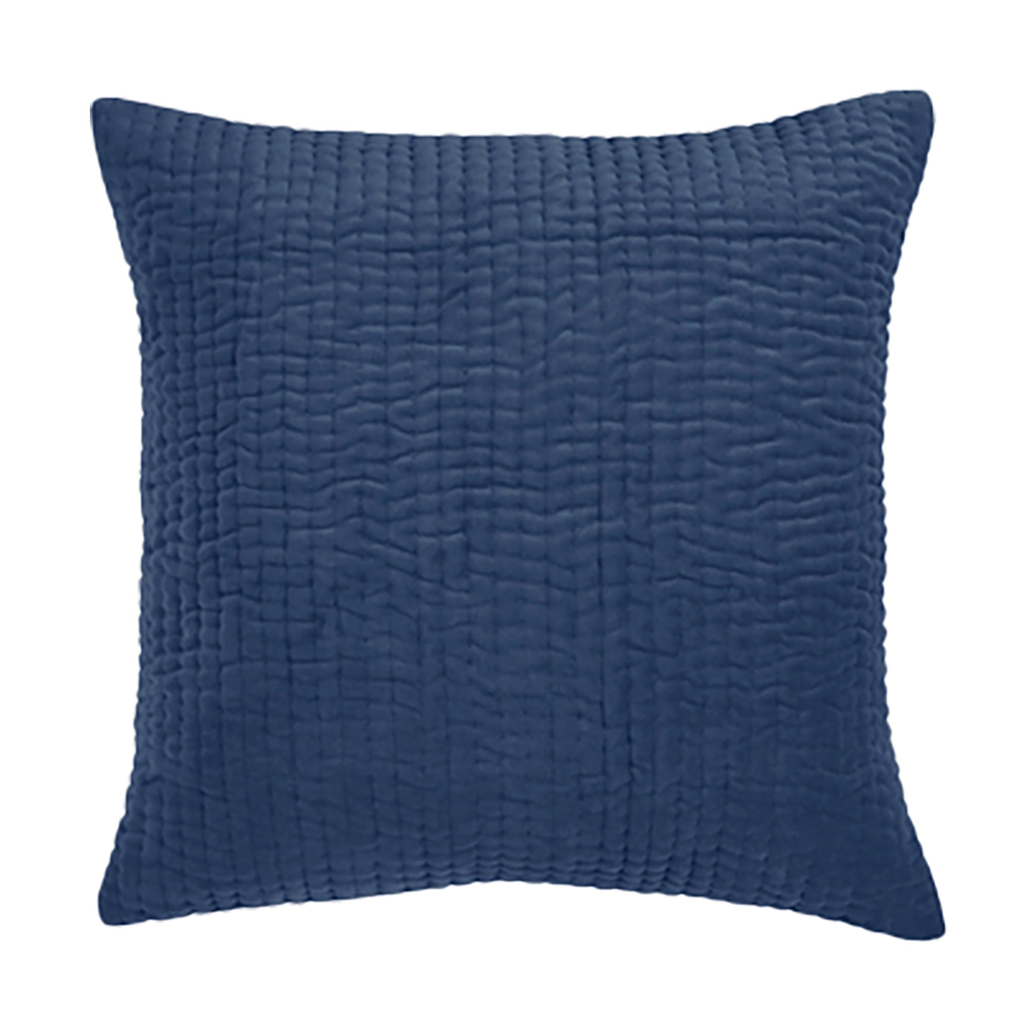 Blue Velvet Cushion 