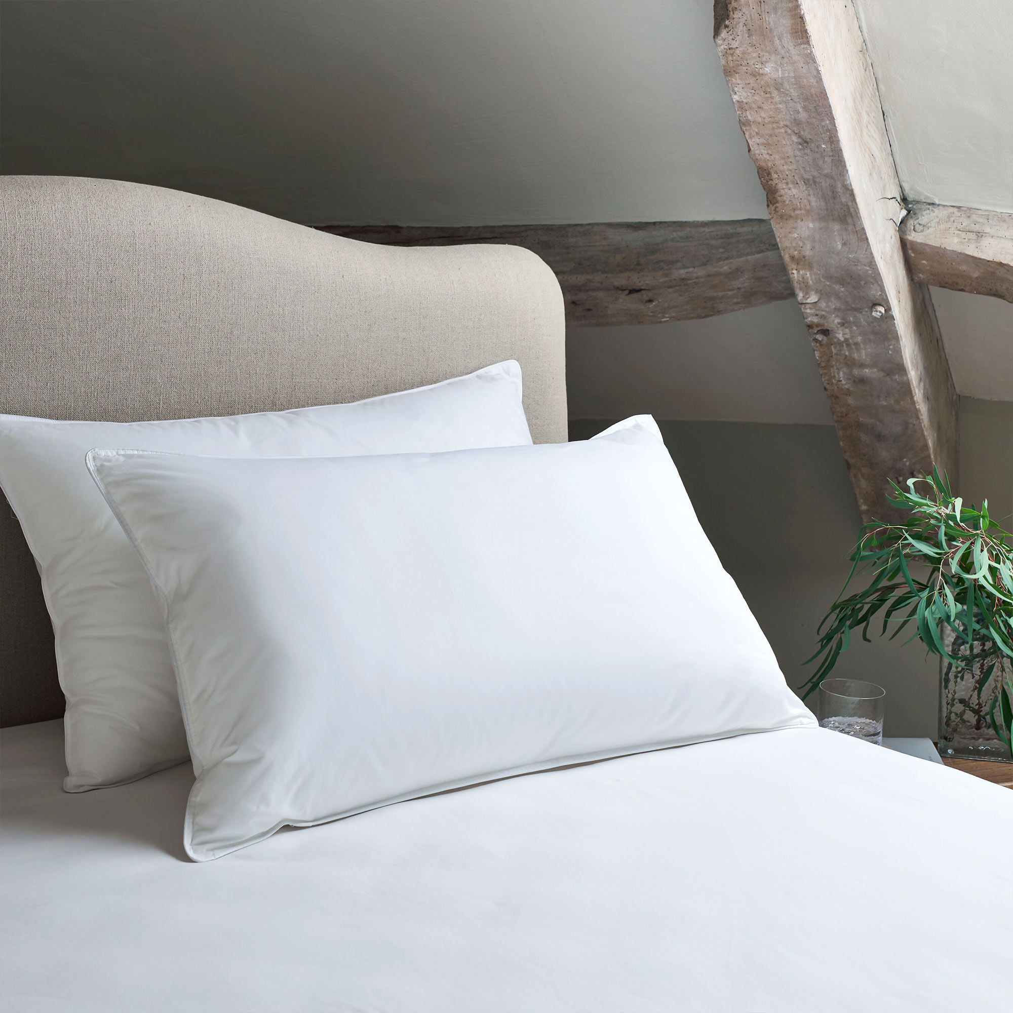 Feather and Down Pillow Pair