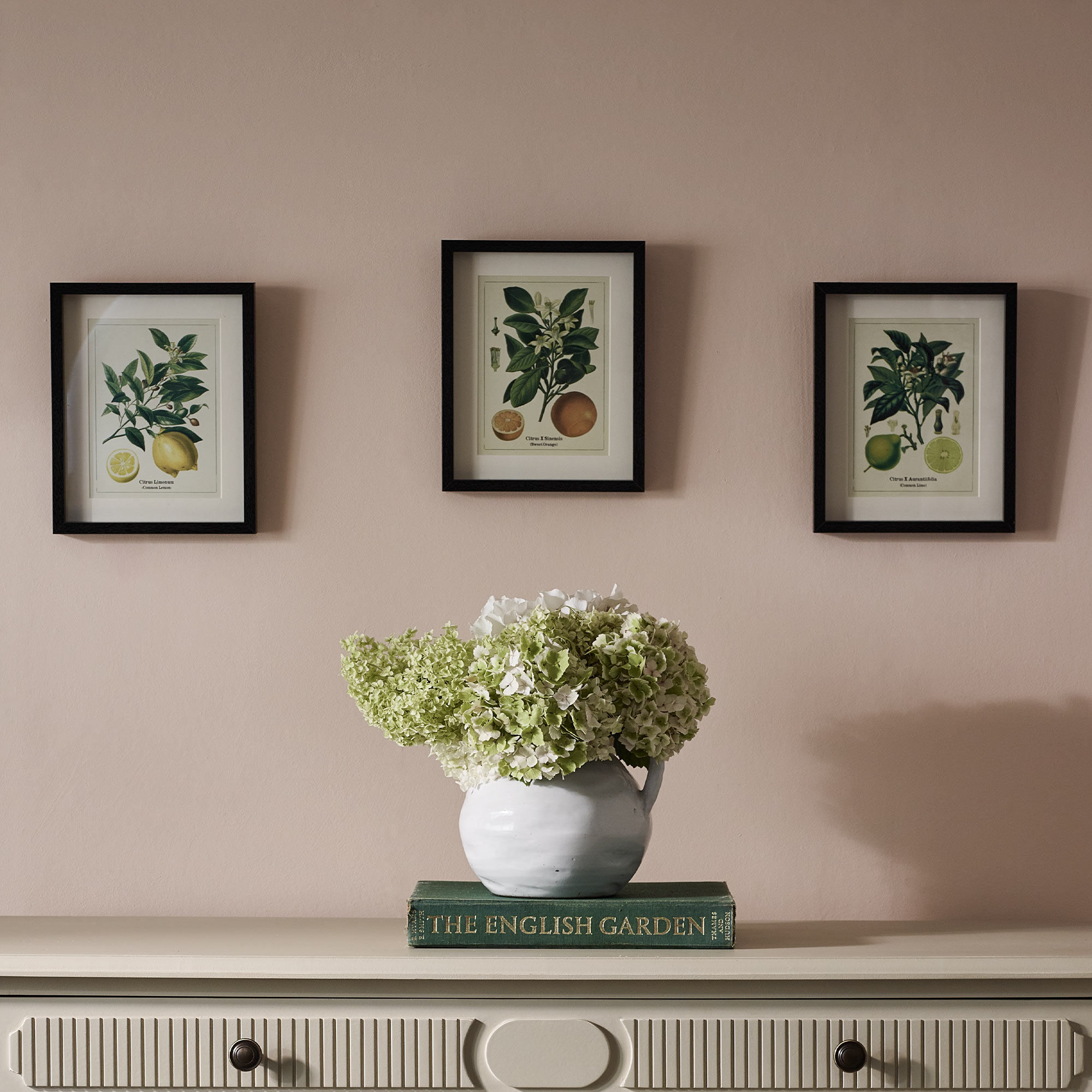 Set of 3 Botanical Fruit Wall Art