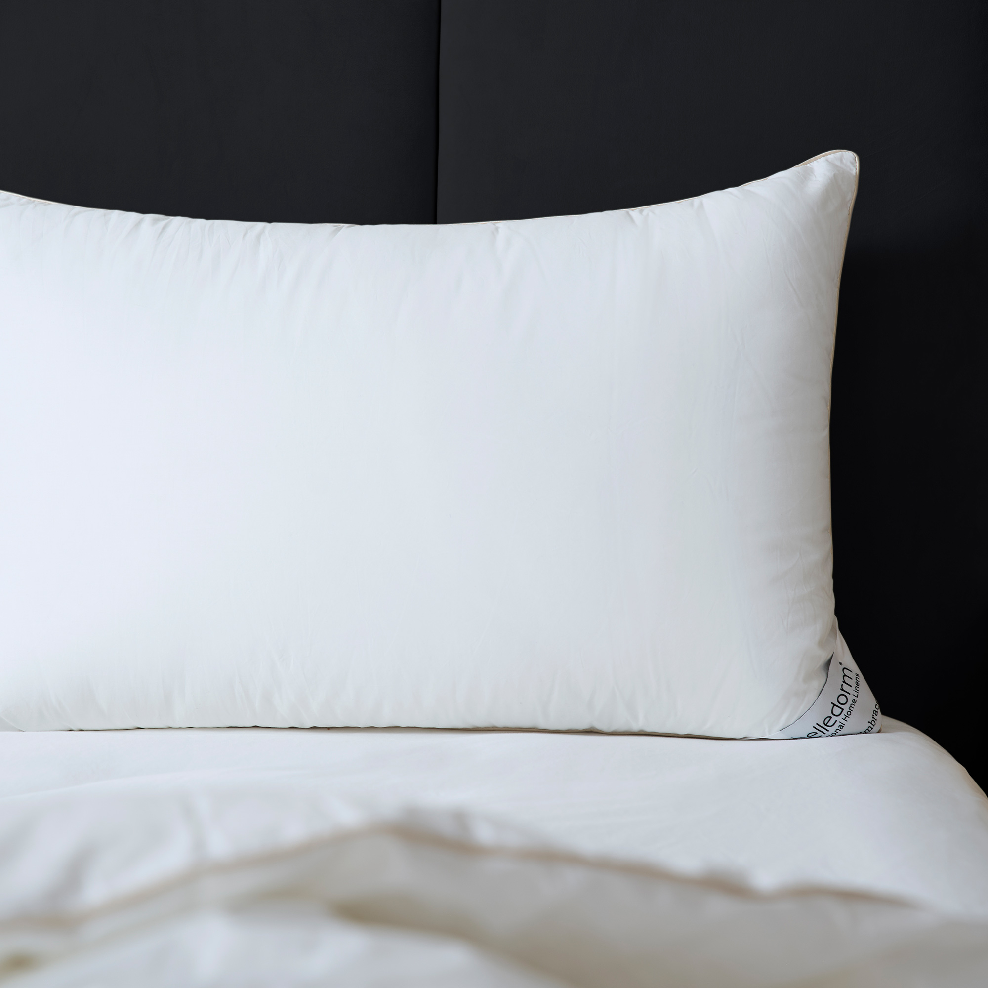 One Night in Paris Silk-Filled Pillow