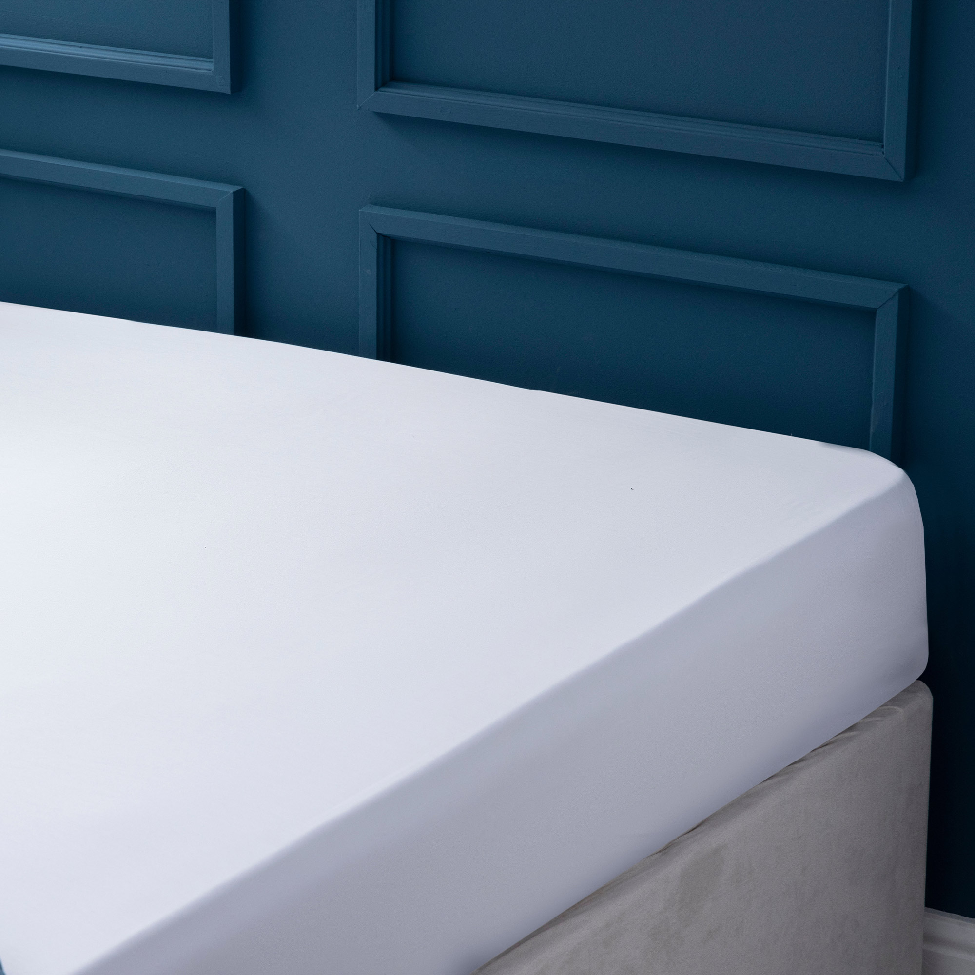 The Paris Collective 1000TC Egyptian Cotton Fitted Sheet