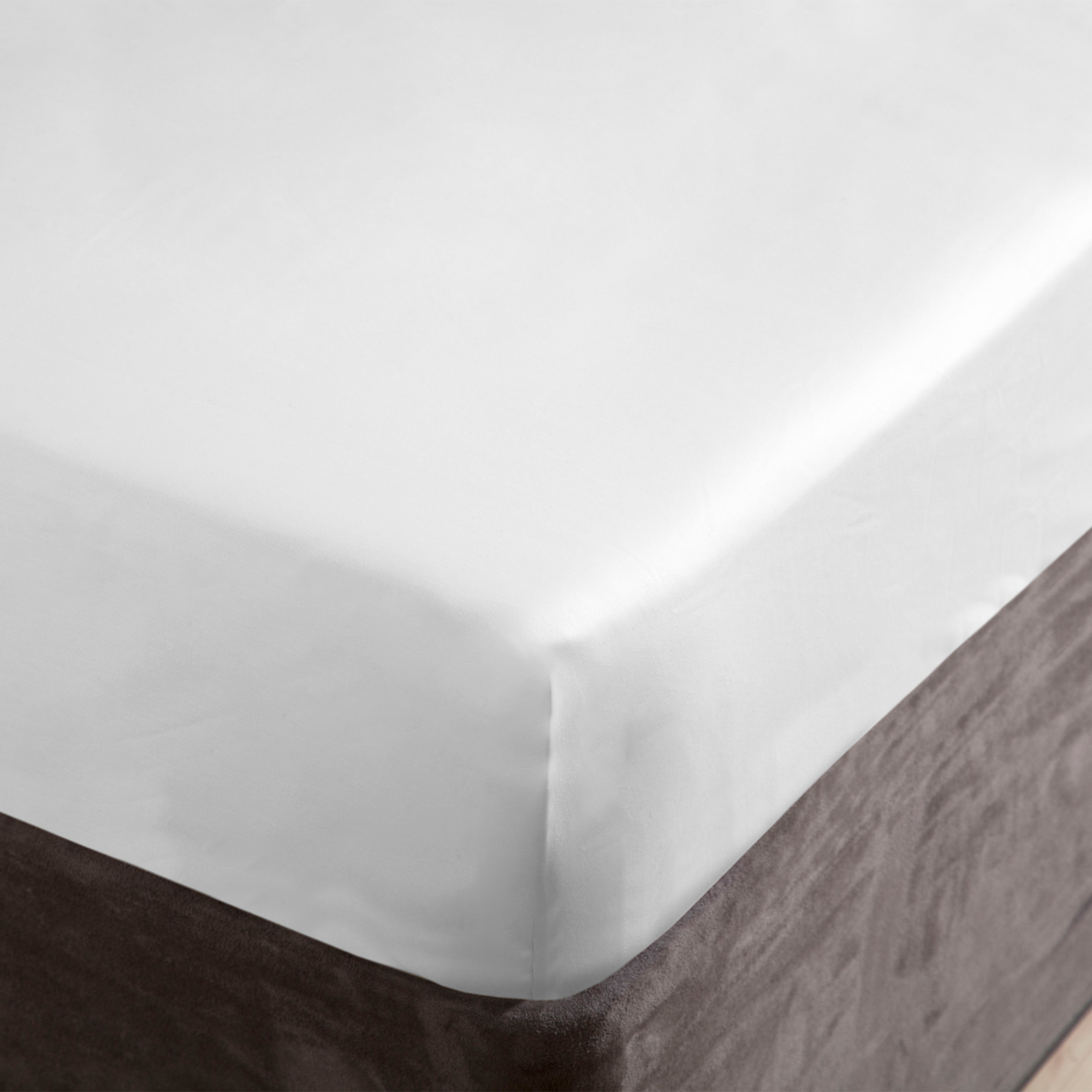 The Paris Collective 600TC Egyptian Cotton Fitted Sheet
