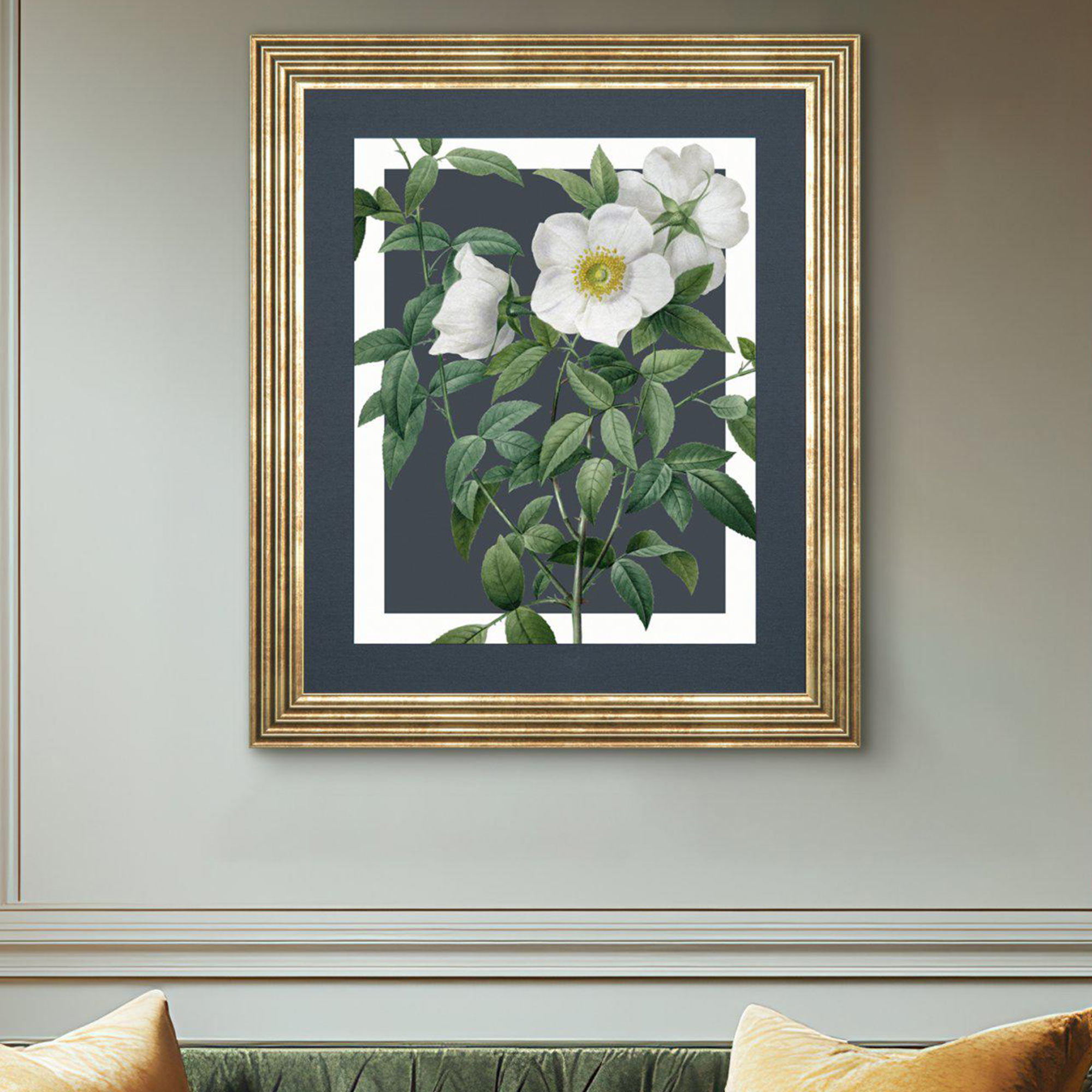 Rosa Nivea Artwork, by Pierre-Joseph Redouté