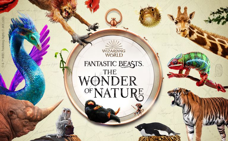 Fantastic Beasts™: The Wonder of Nature | Natural History Museum