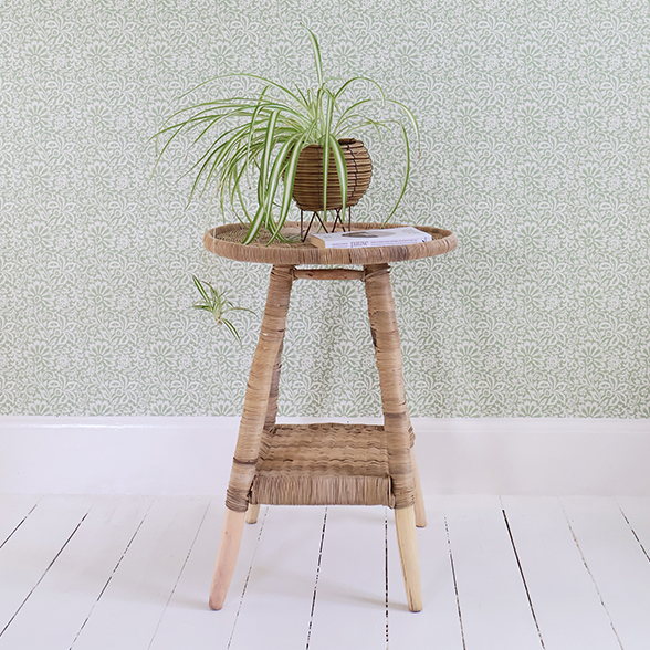 full rattan side table, with a spider plant on top. 